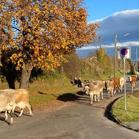Апартаменти Im-Oberland - Tal - Бад-Кольгруб Екстер'єр фото